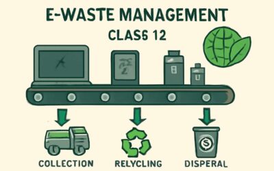 define e waste management class 12: A concise, engaging guide for students